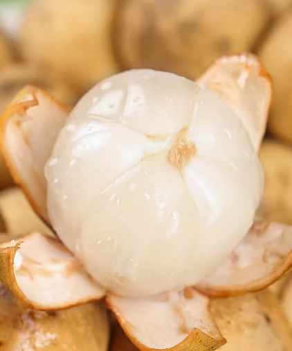 批發(fā)零售 泰國龍宮果 進(jìn)口高級龍貢果 自有倉庫 現貨儲量豐富