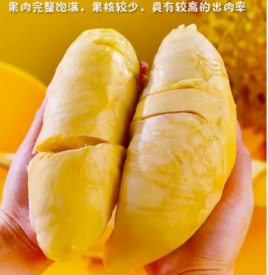 大量批發(fā)泰國金枕榴蓮 庫存充足 大量出貨