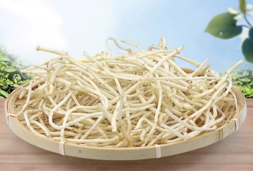 5000斤魚(yú)腥草新鮮折耳根 低價(jià)出手