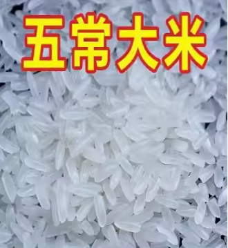 批發(fā)東北大米 秋田小町   廣州市內可免費運輸
