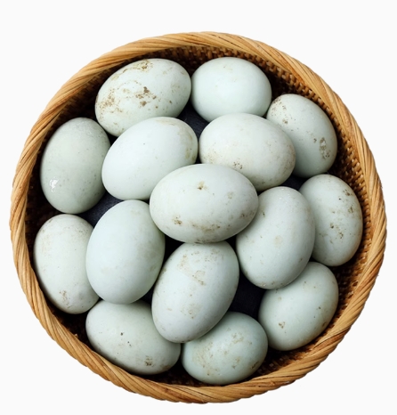 自有農場(chǎng) 長(cháng)期批發(fā)綠殼鴨蛋 專(zhuān)供食品加工企業(yè)