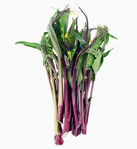 批發(fā)新鮮嫩苔菜薹菜心 自有冷庫 自有物流 隨時(shí)可發(fā)